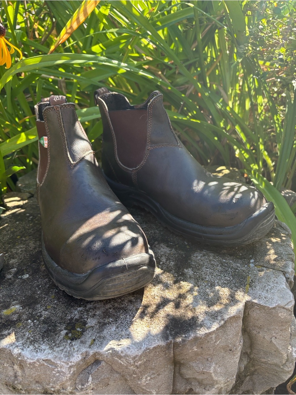 Blundstone Men's Dark Brown Chelsea Work Boots CSA Greenpatch US 12 VGUC